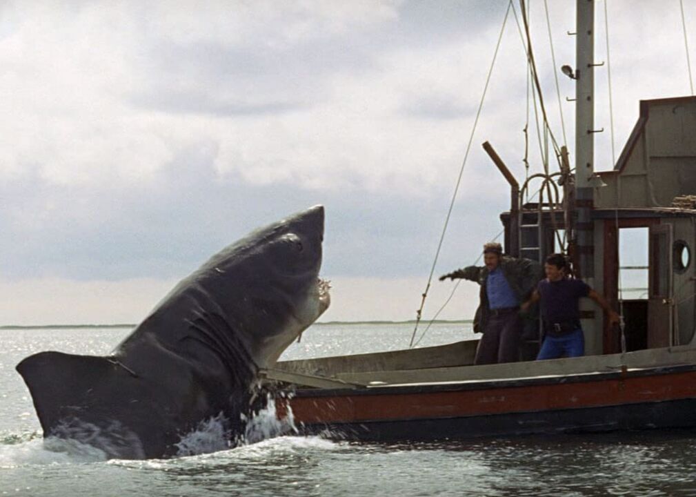 Jaws